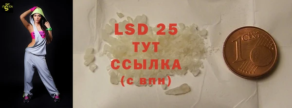 ГАЛЛЮЦИНОГЕННЫЕ ГРИБЫ Костерёво