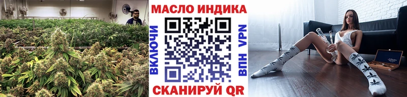 Купить где  Протвино  ТГК концентрат 