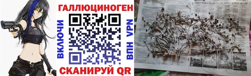 Галлюциногенные грибы Cubensis  Купить  Протвино 